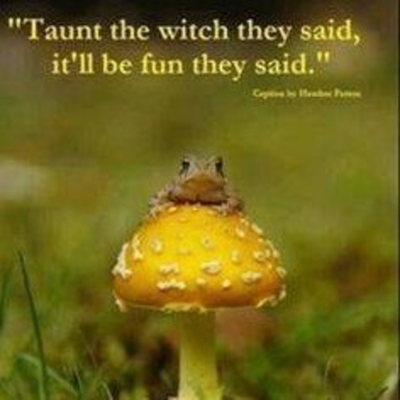 Meet your Posher, Juanita - Picture 1 of 1